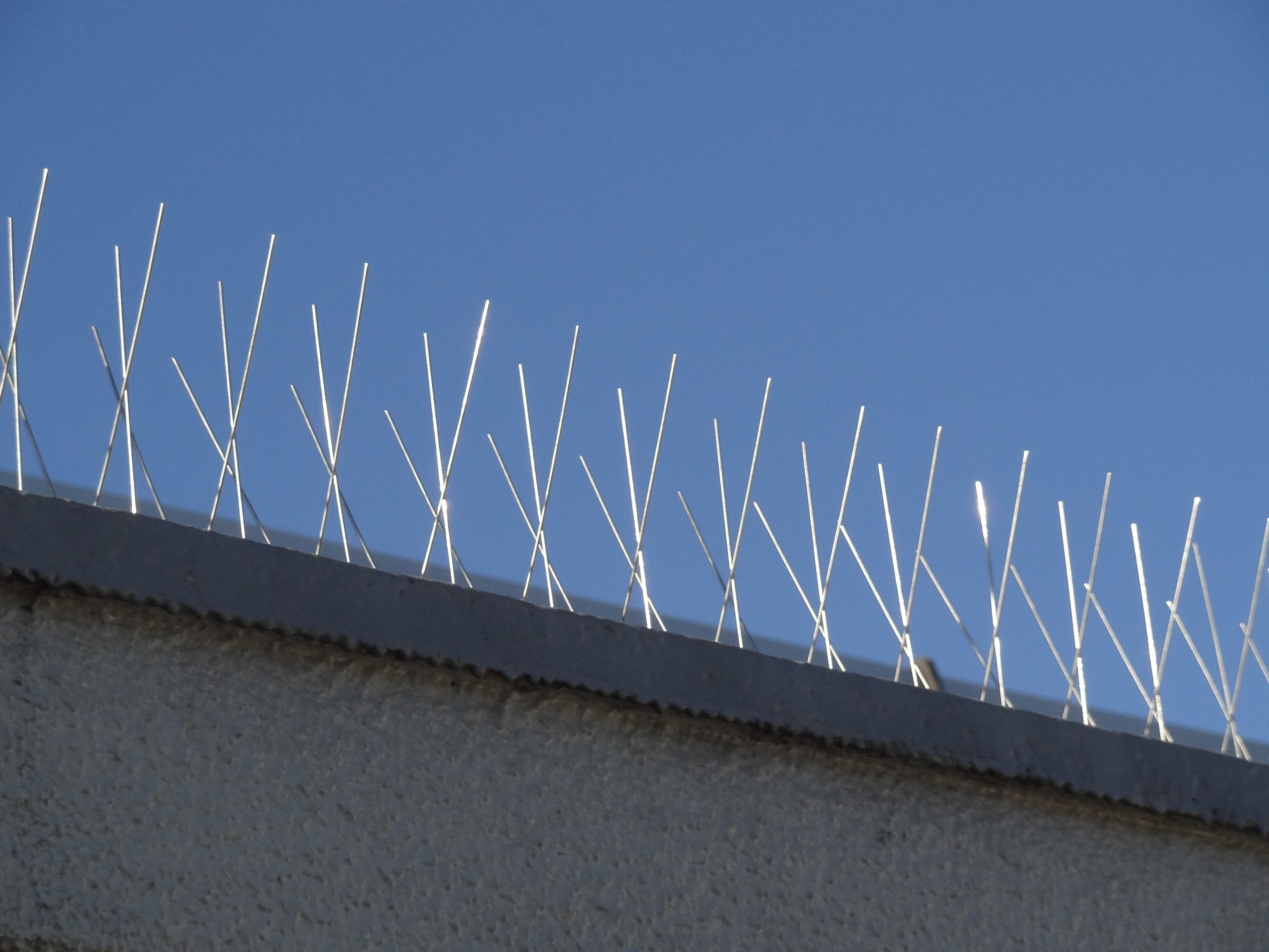 剣山型ハト忌避具